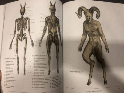 Воскреситель, или Анатомия фантастических существ: Утерянный труд доктора Спенсера Блэка. Самая страшная книга (подарочная). Хадспет Э. АСТ