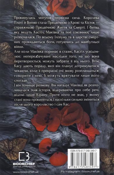 Кров і попіл. Книга 5. Душа з попелу та крові. Дженніфер Л. Арментраут. Book Chef