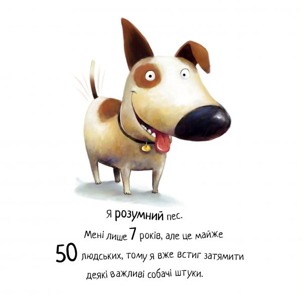 Не їж бджіл. Дев Петті. Видавництво РМ