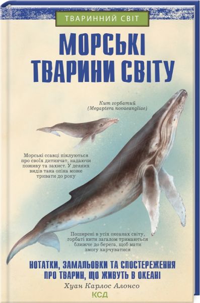 Морські тварини світу. Нотатки, малюнки та спостереження про тварин, що живуть в океані. Клуб Сімейного Дозвілля