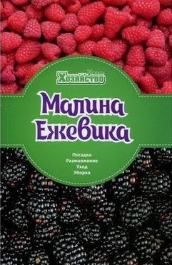 Малина Ежевика. Посадка, размножение, уход, уборка. Ум.Хоз. Лотос