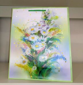 Пакет 32*26*10 Ромашки. Артикул: 290522