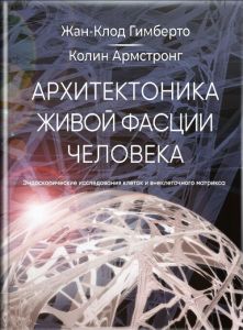 Архитектоника живой фасции человека. Эндоскопические исследования внеклеточного матрикса и клеток, Жан-Клод Гимберто, Колин Армстронг. Мультиметод
