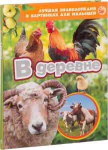 В деревне (Лучшая энциклопедия в картинках для малышей) Перо