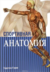 Спортивная анатомия. Герке Т. Попурри
