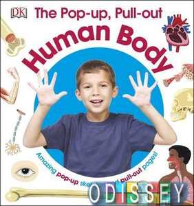Pop-up, Pull out: Human Body