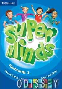 Super Minds 1 Flashcards (Pack of 103)