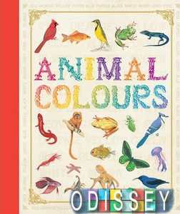 First Concept: Animal Colours