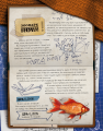 Моя велика космічна мандрівка. Джо Рівадулья. Book Chef
