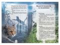 Коти - вояки. Таємниці кланів. Путівник по серії. Ерін Гантер. Асса