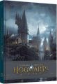 Створення світу гри Hogwarts Legacy. Avalanche Software. Мальопус