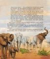 Як зрозуміти тварин: дослідження та відкриття. Ольга Заєць, Едуард Новіков. Час Майстрів