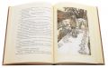 Алісині пригоди у Дивокраї: ілюстрації Артура Рекхема. Керрол Л. Навчальна книга - Богдан