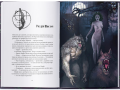 Повня дурня. Джим Бутчер. Nebo BookLab Publishing