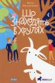 Що знаходять в Хрулях. Настя Мельниченко. Теза